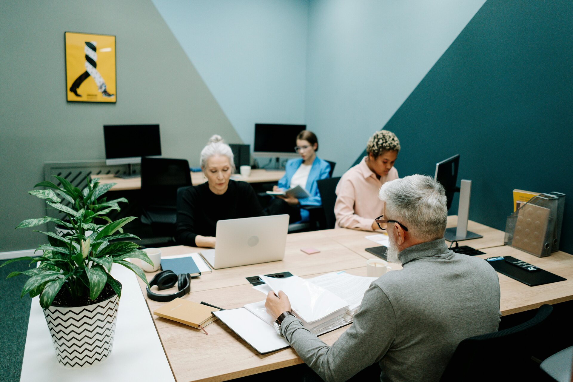 Open office, Kolleginnen an Tischen, Ordner, Laptops, Pflanzen